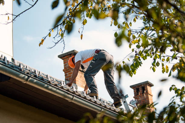 Best New Roof Installation  in Washington, WV