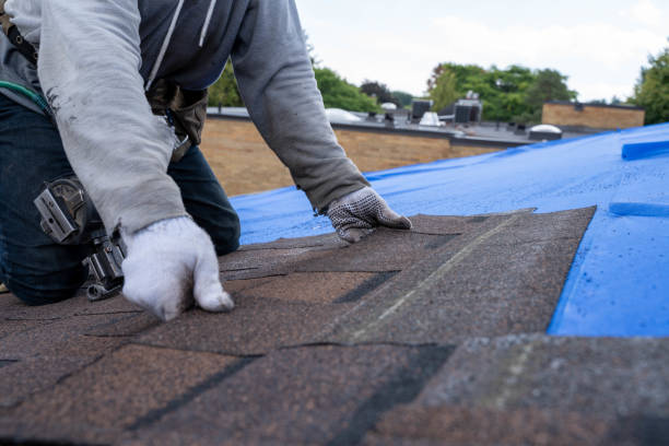 Best Roof Replacement Cost  in Washington, WV