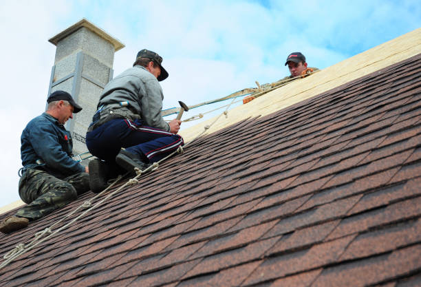 Best Local Roofing Companies  in Washington, WV