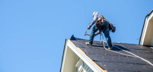 Best Affordable Roof Replacement  in Washington, WV